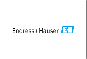 Endress + Hauser